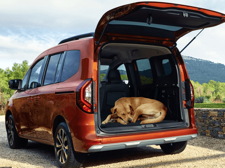 зоотакси недорого в москве зоотакси недорого в москве