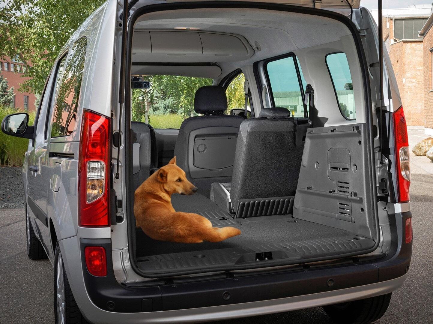 зоотакси в москве недорого зоотакси в москве недорого